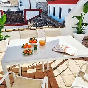 Apartment Loft & Private Rooftop With Bbq, Seville